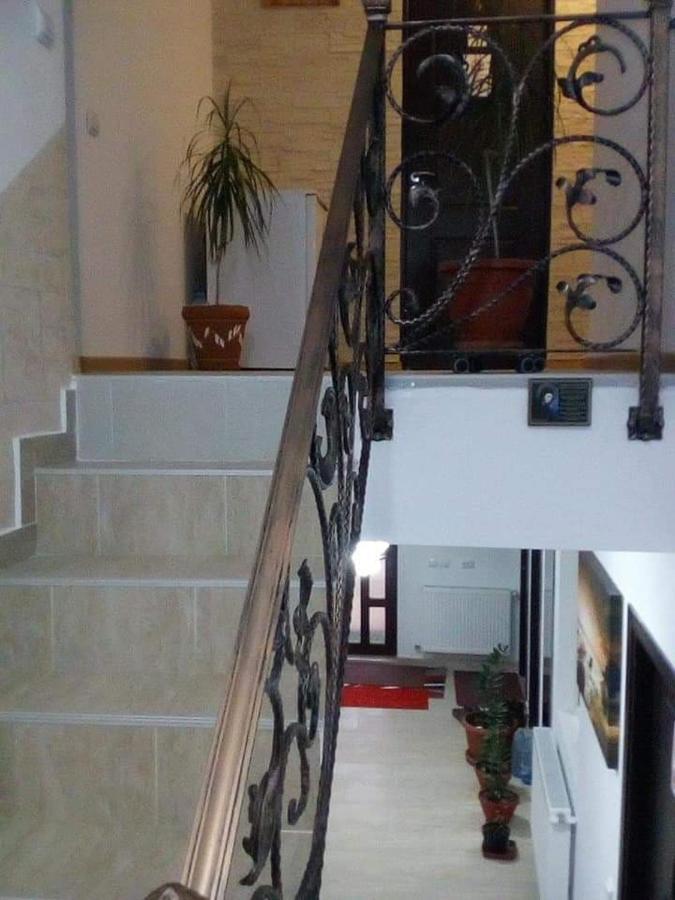 Вилла Vila Darian Буштени Экстерьер фото